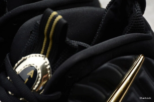 Metallic Gold 624041-009 Black Foamposite  Pro Air 1024
